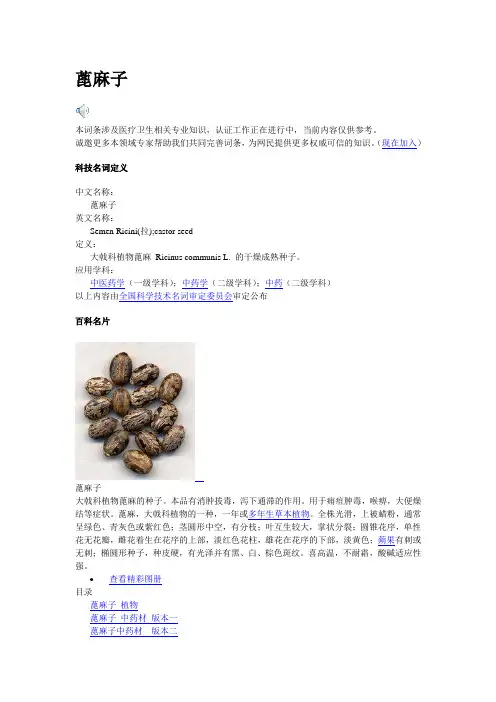 蓖麻子