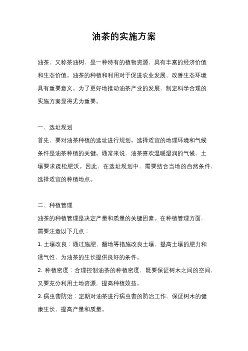 油茶的实施方案