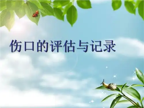 伤口的评估与记录
