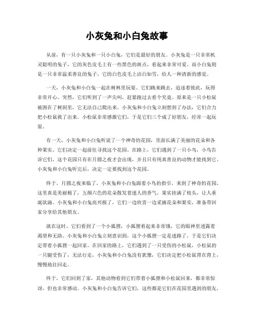 小灰兔和小白兔故事