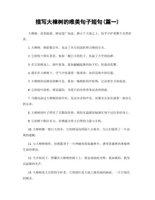 描写大樟树的唯美句子短句(精选两篇)