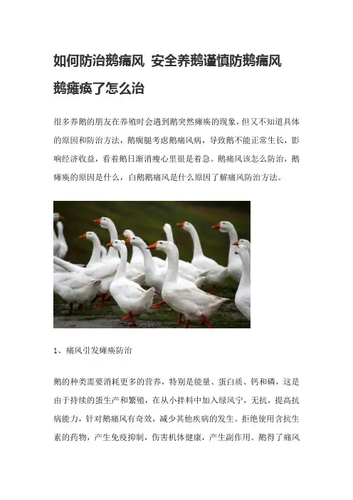 如何防治鹅痛风 安全养鹅谨慎防鹅痛风 鹅瘫痪了怎么治