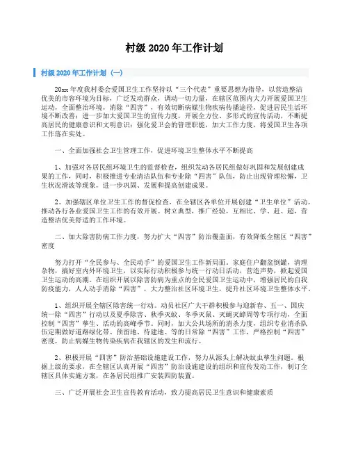 村级2020年工作计划