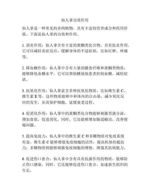 仙人掌功效作用
