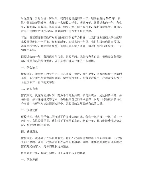 留校大学生过新年感言
