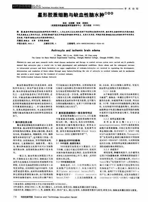 星形胶质细胞与缺血性脑水肿