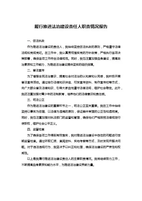 履行推进法治建设责任人职责情况报告