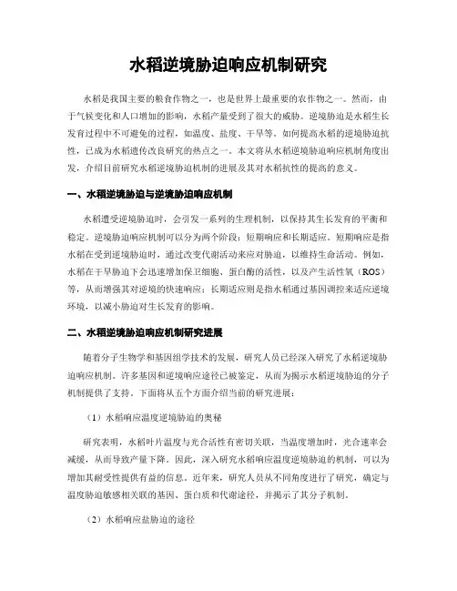 水稻逆境胁迫响应机制研究