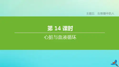全国通用 中考生物复习：主题5生物圈中的人第14课时心脏与血液循环