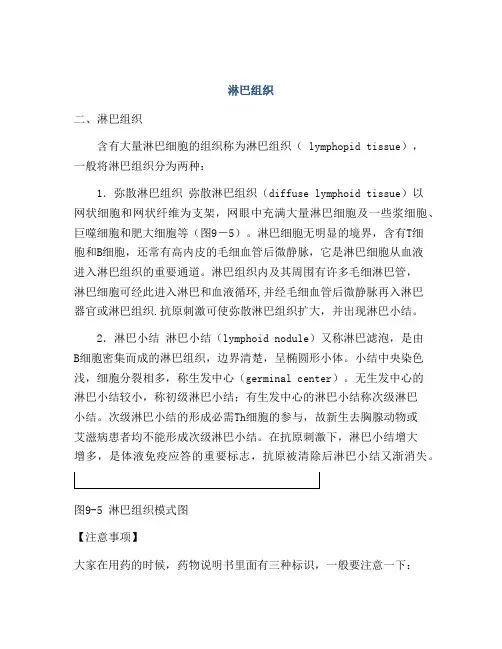 医学知识之淋巴组织