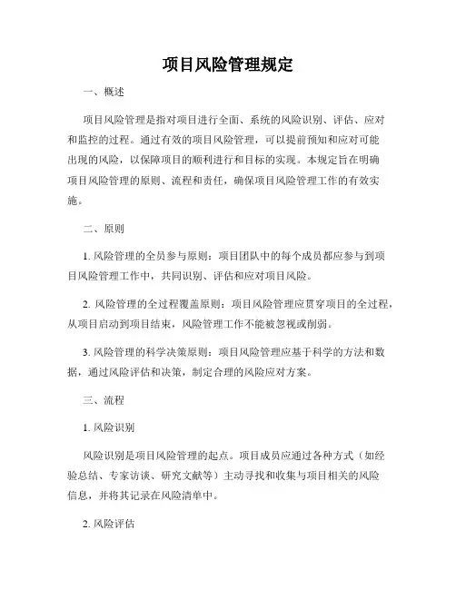 项目风险管理规定