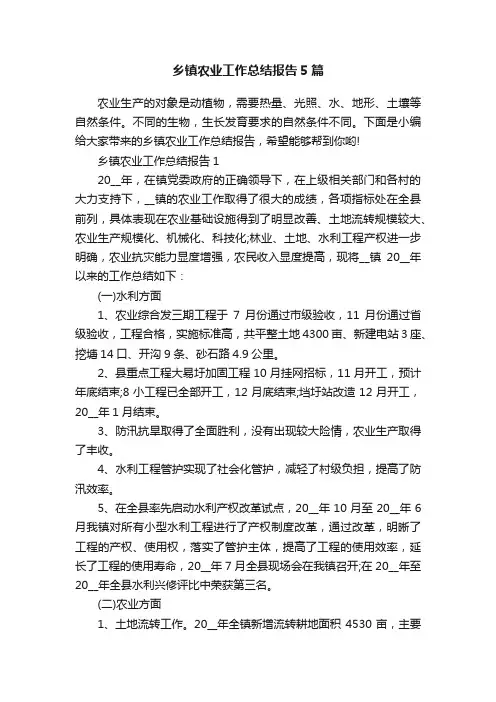 乡镇农业工作总结报告5篇