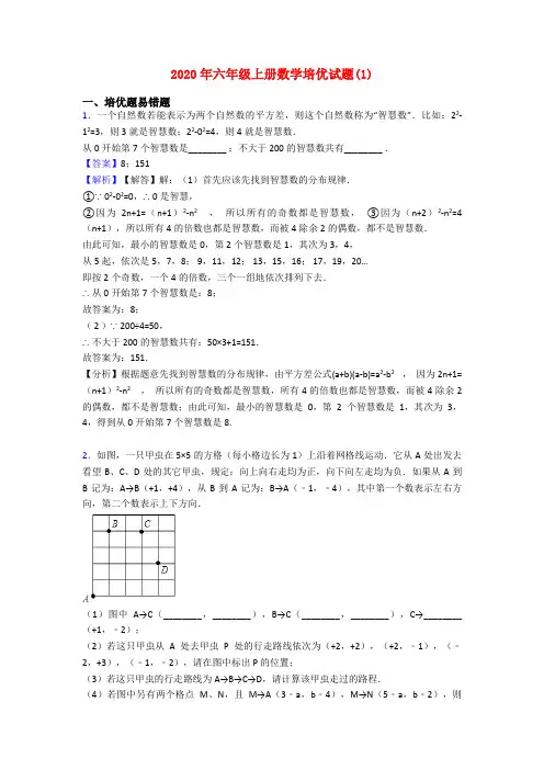 2020年六年级上册数学培优试题(1)