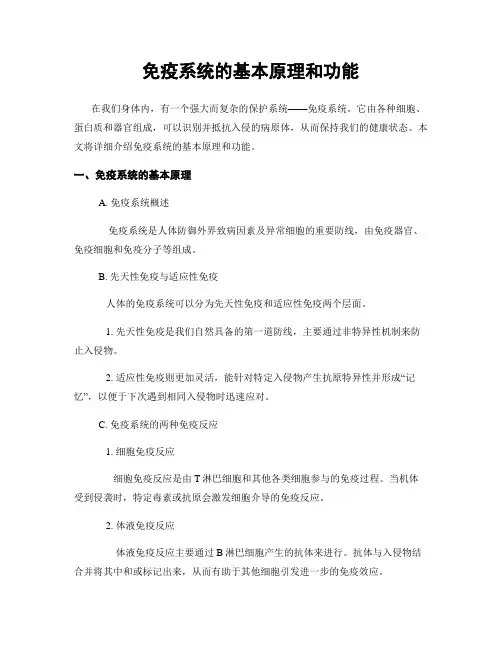 免疫系统的基本原理和功能