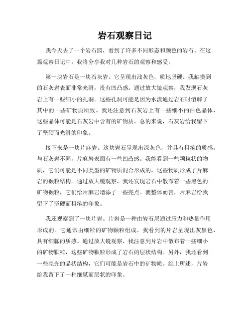 岩石观察日记