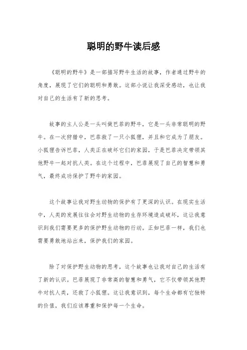 聪明的野牛读后感