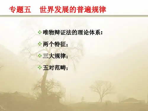 专题五 事物发展的普遍规律