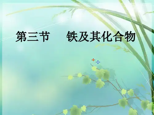 高考化学第一轮复习铁 PPT课件 图文