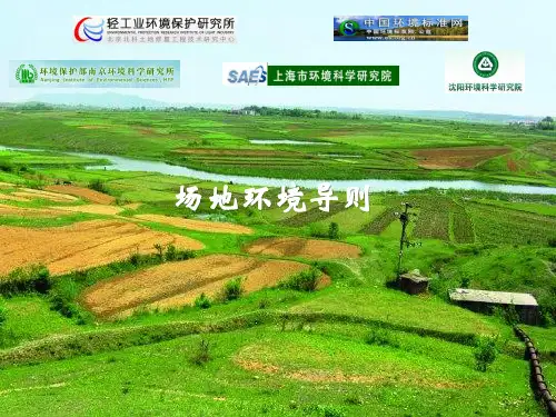 场地环境调查技术导则ppt课件