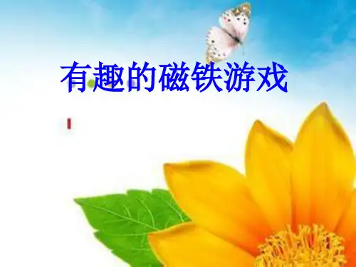 《有趣的磁铁游戏》PPT课件大象版