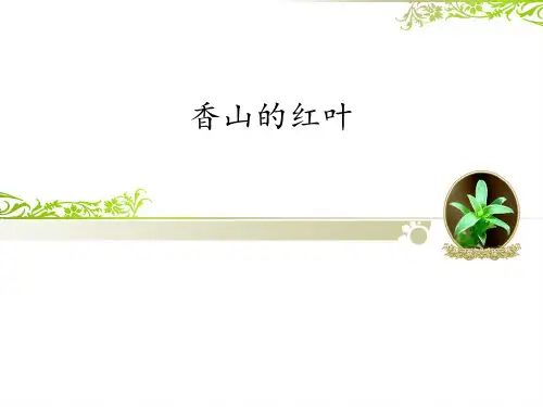教科版五四制小学五年级语文下册香山的红叶_课件1