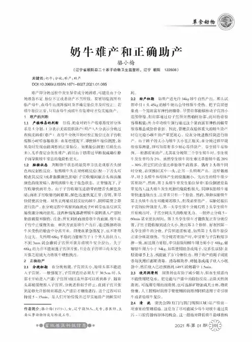 奶牛难产和正确助产