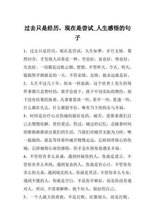过去只是经历,现在是尝试_人生感悟的句子
