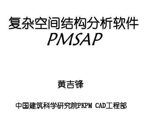 PMSAP的详细介绍概述