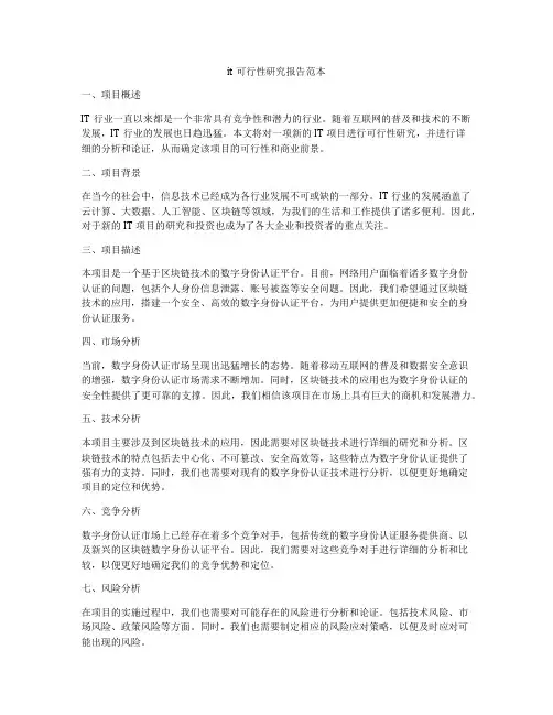 it可行性研究报告范本