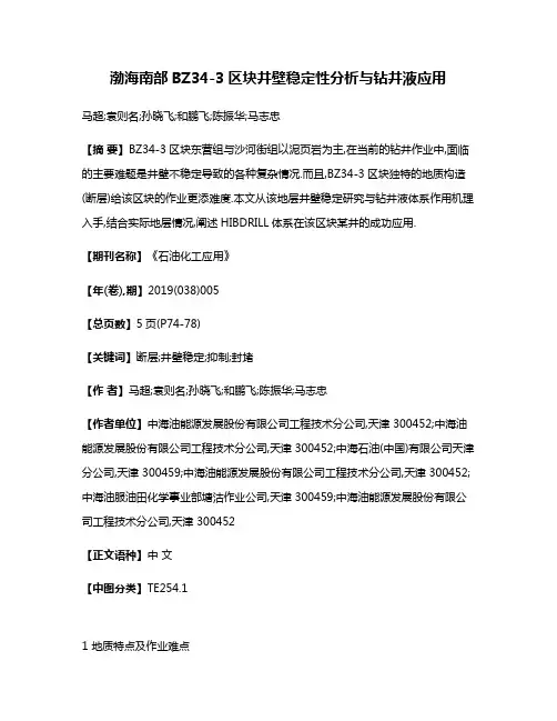 渤海南部BZ34-3区块井壁稳定性分析与钻井液应用