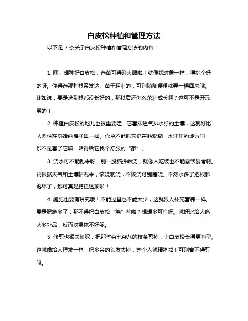 白皮松种植和管理方法