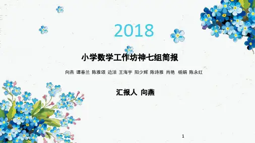 小学数学工作坊神七组简报PPT课件