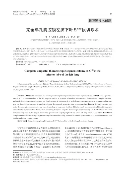 完全单孔胸腔镜左肺下叶S9+10段切除术