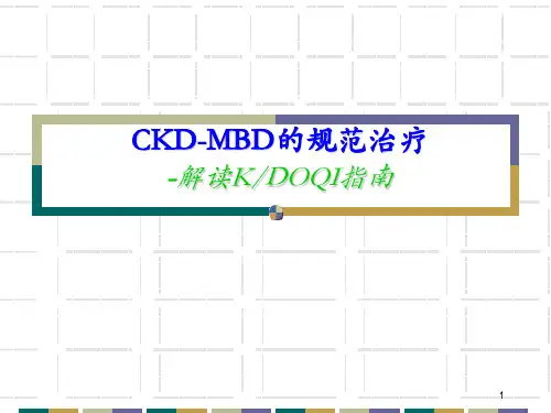 CKD-MBD的规范治疗ppt课件