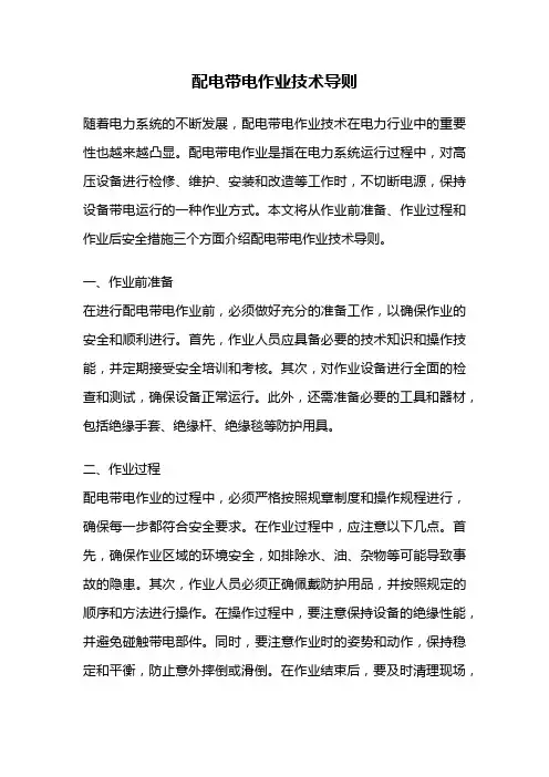 配电带电作业技术导则