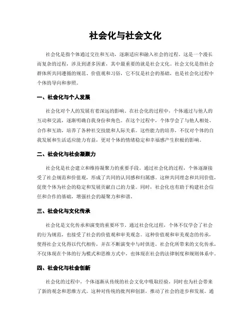 社会化与社会文化