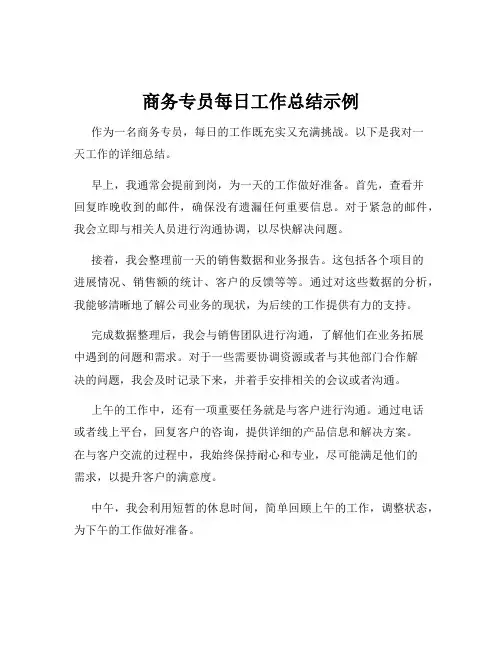 商务专员每日工作总结示例