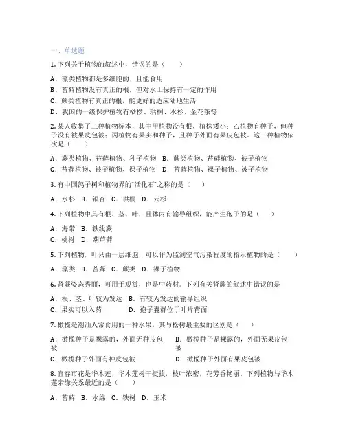 北师大版生物 八年级下册 第3节 植物的主要类群 课后练习题