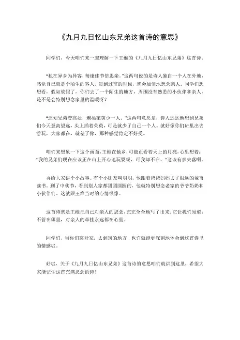 九月九日忆山东这首诗的意思
