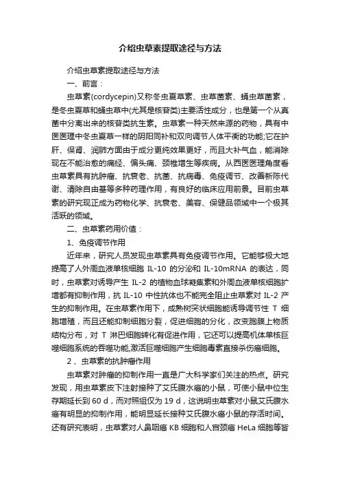 介绍虫草素提取途径与方法