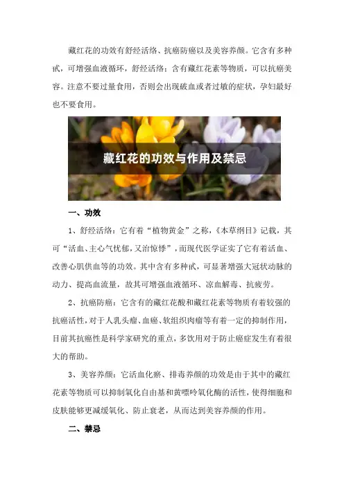 藏红花的功效与作用及禁忌