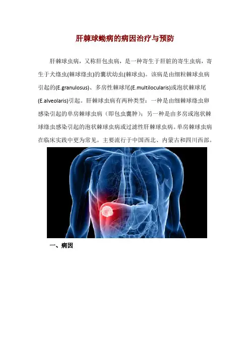 肝棘球蚴病的病因治疗与预防