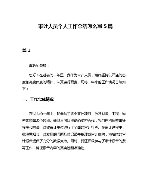 审计人员个人工作总结怎么写5篇