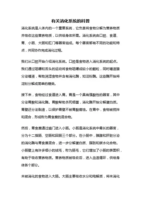 有关消化系统的科普