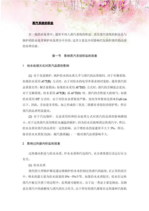蒸汽系统的积盐