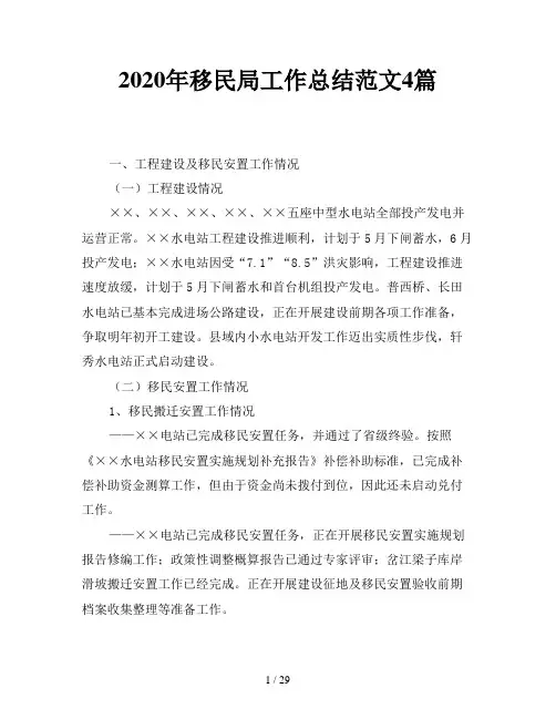 2020年移民局工作总结范文4篇