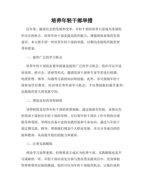 培养年轻干部举措