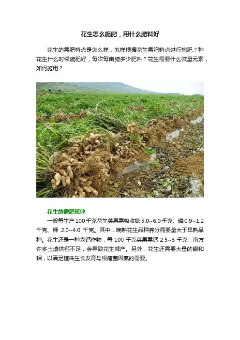 花生怎么施肥，用什么肥料好
