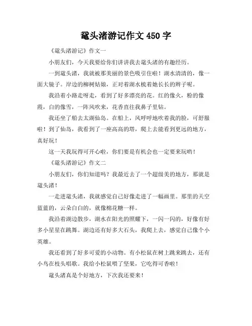 鼋头渚游记作文450字