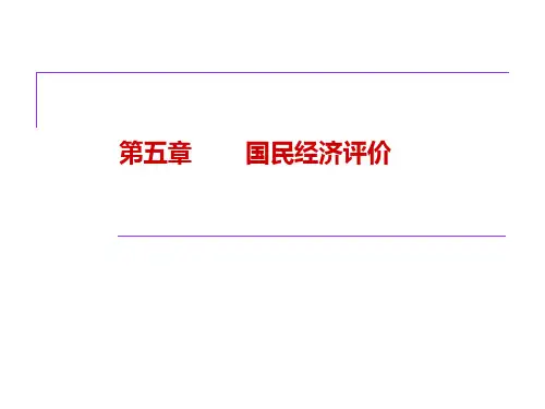 工程经济学第九章(新)——国民经济